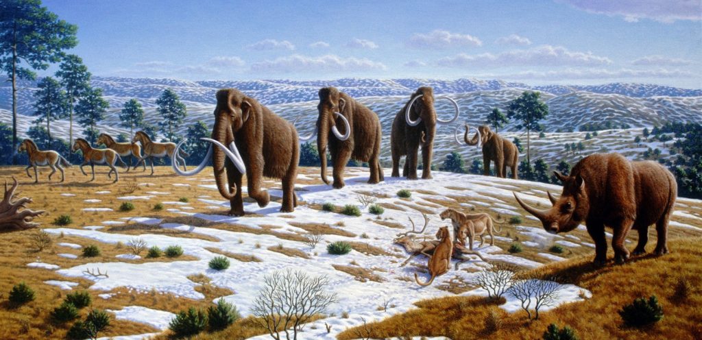 Ice_age_fauna_of_northern_Spain_-_Mauricio_Antón